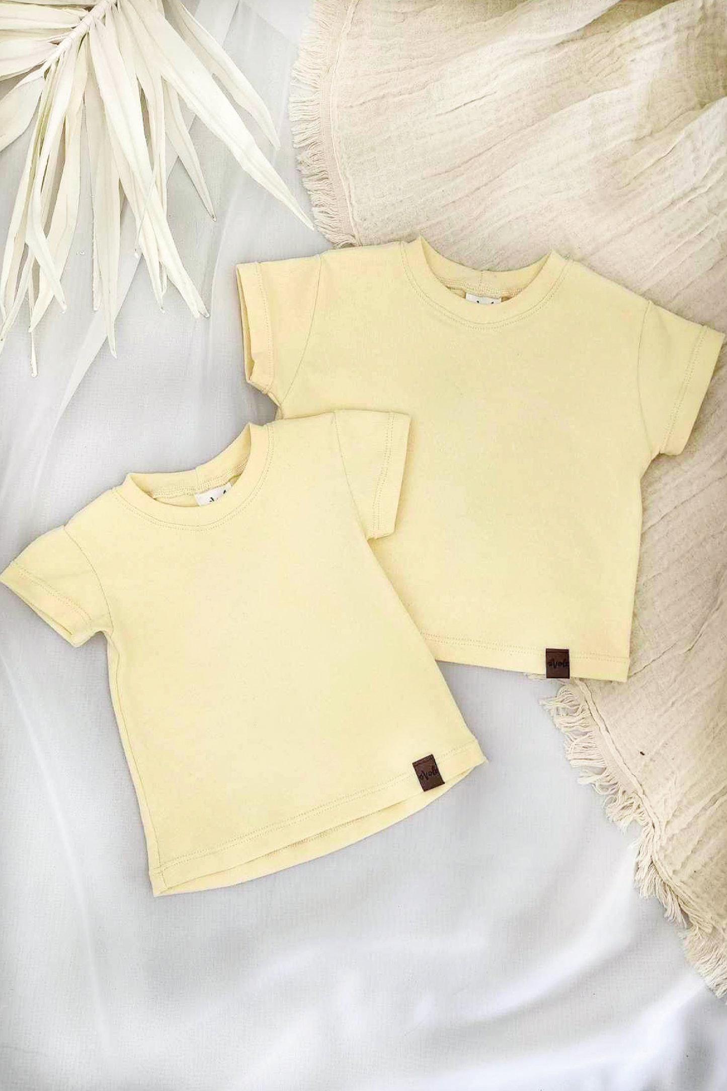 Evolutionary t-shirt - CANARI
