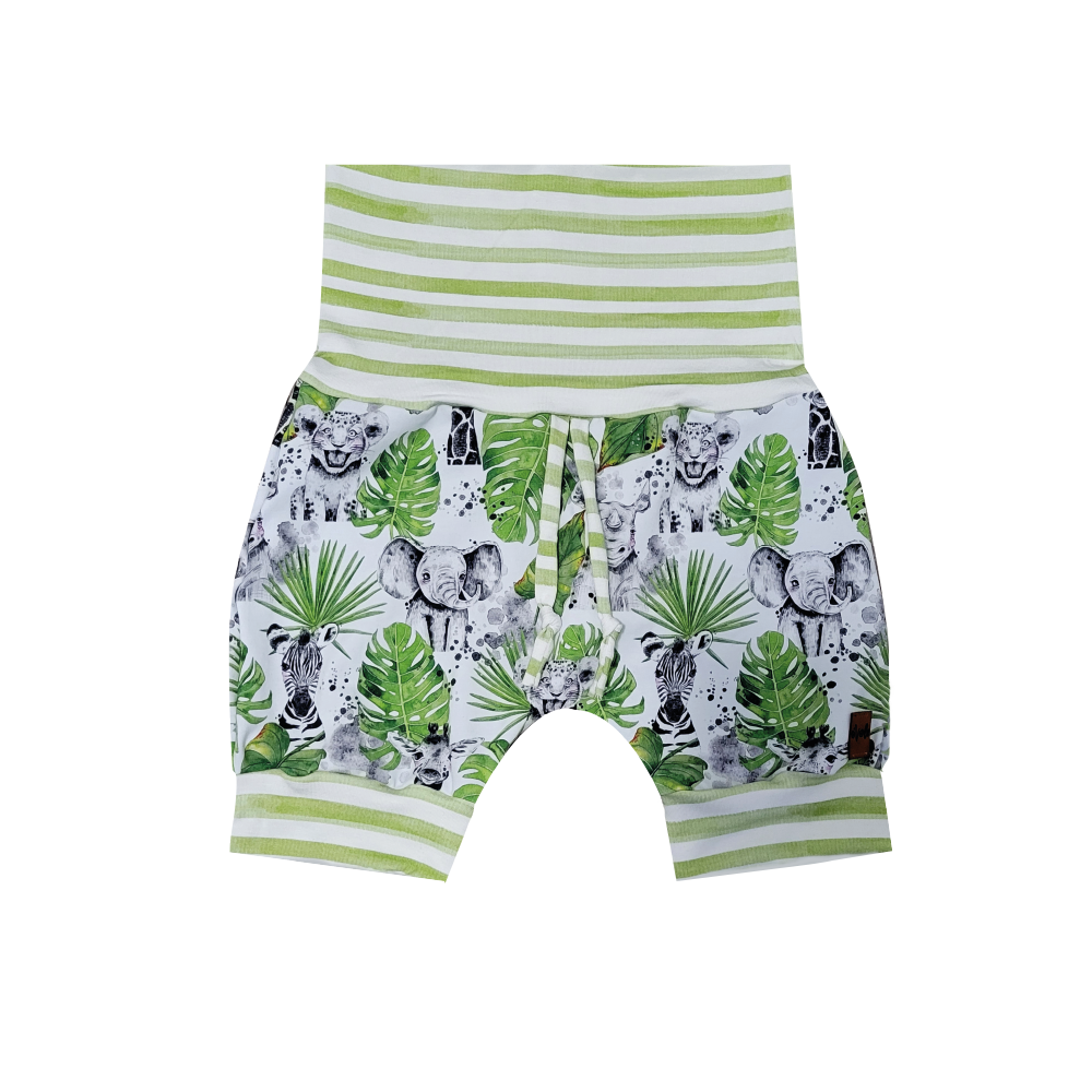 Evolutionary shorts - SAFARI