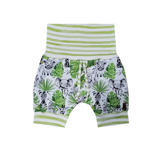 Evolutionary shorts - SAFARI